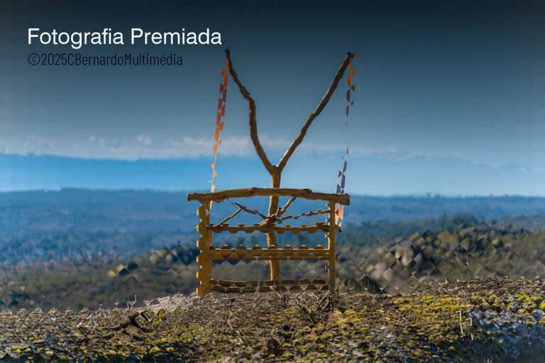 🏆 1º PRÉMIO APECV 2025 | ENTRE MUNDOS: CONEXÕES CRIATIVAS COM A NATUREZA 🌱